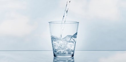 澳门管家婆必中一肖