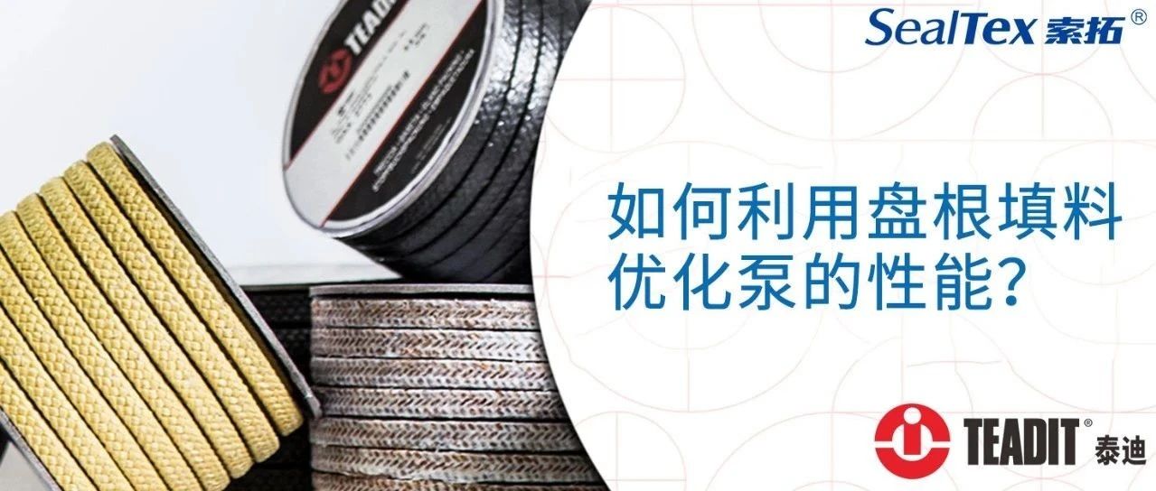 澳门管家婆必中一肖